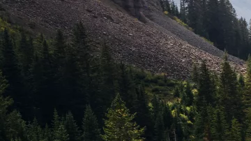 Tacoma vs. Tundra: ¿Cuál es mejor entre las pick-up Toyota?