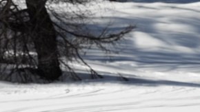 Los mejores neumáticos que se adaptan a todas las estaciones del año