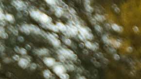 Nueva alternativa a los robotaxis revoluciona las calles de EE.UU.