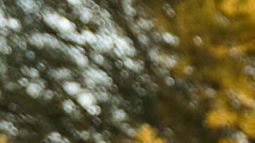 Nueva alternativa a los robotaxis revoluciona las calles de EE.UU.