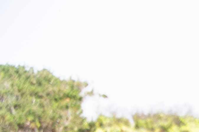 ID. Buzz arrasa: mejor SUV eléctrico para familias en 2025