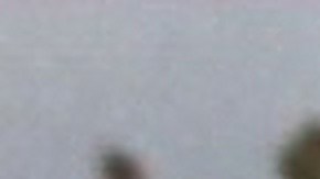 honda nissan merger talks