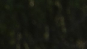 cuántos autos tesla hay