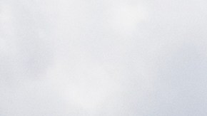 cuántos autos tesla hay