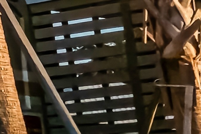 Buick: el lujo estadounidense vigente después de 126 años