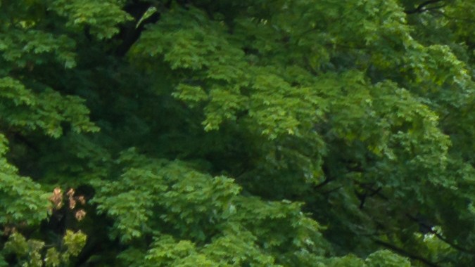 Buick: el lujo estadounidense vigente después de 126 años