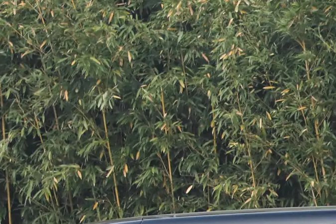 BYD presenta su SUV más lujoso: potente y más barato que un Tesla