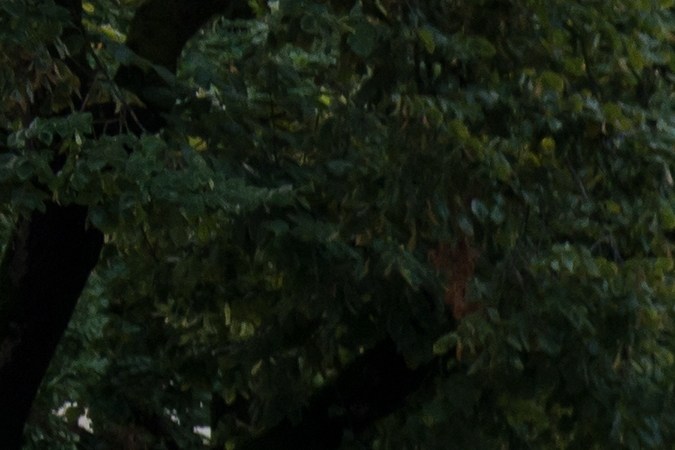 Camioneta negra o camioneta gris: qué troca elegir