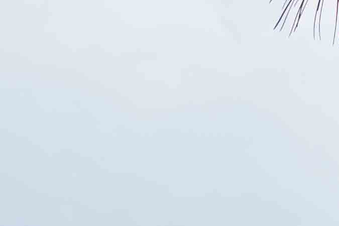 Mejores campers para troca en 2025