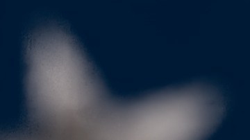 se pueden comprar camionetas y autos chinos en usa