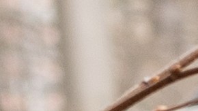 Por qué los eléctricos reciben más golpes en la parte trasera