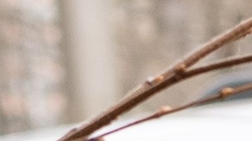 Por qué los eléctricos reciben más golpes en la parte trasera