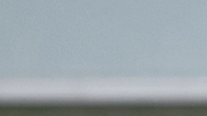 Colores de autos más populares en el mundo