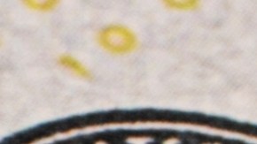 ¿Se puede comprar un carro sin seguro social en USA?