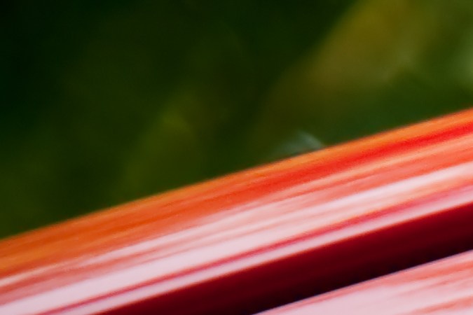 Conductores adolescentes en Florida