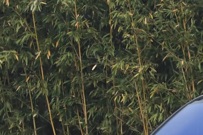 BYD presenta su SUV más lujoso: potente y más barato que un Tesla