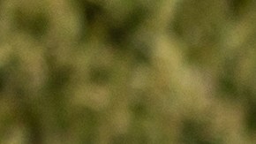 camioneta in english