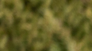 camioneta in english