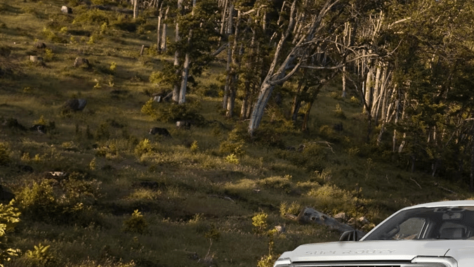 Modelos Ford Series F disponibles para 2025