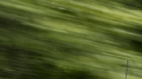 Modelos Ford Series F disponibles para 2025