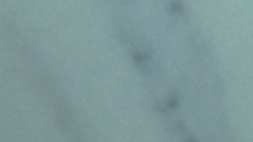 ley limon en california