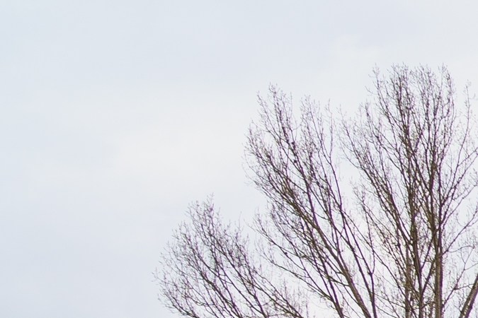 Cómo sacar una licencia para comprar carros en subasta en Texas