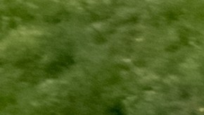 Qué licencia se usa para camioneta