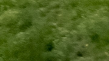 Qué licencia se usa para camioneta