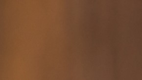 licencia para comprar carros en subasta en Florida