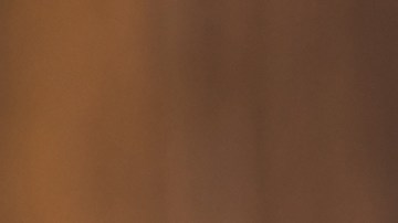 licencia para comprar carros en subasta en Florida