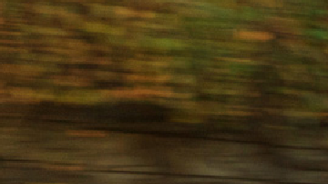 Ligier JS50: el mini auto con diseño de cupé y tecnología avanzada