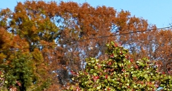 Calidad y precisión: las mejores marcas de herramientas automotrices