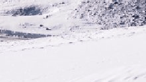 Mercedes Benz trabaja en un nuevo motor V8 electrificado