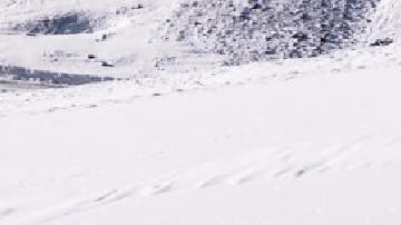 Mercedes Benz trabaja en un nuevo motor V8 electrificado