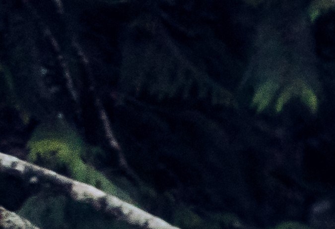 Cómo conducir una 4x4 en la nieve