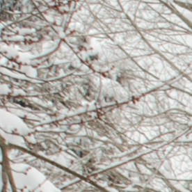 Mejores opciones de palas para nieve para troca