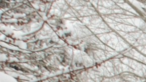 Mejores opciones de palas para nieve para troca
