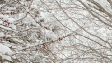 Mejores opciones de palas para nieve para troca