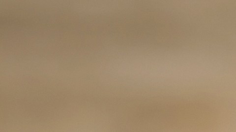 Defensas para trocas: mejores opciones y precios