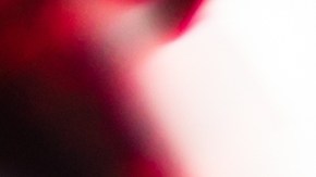 Qué seguros de automóviles no utilizan la puntuación crediticia