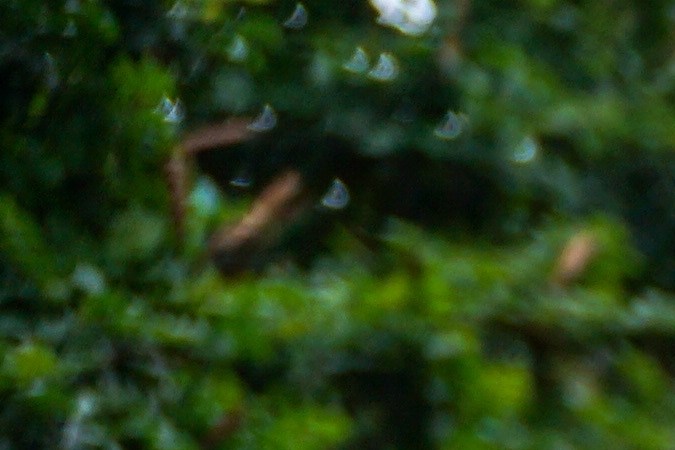 letrero amarillo con letras dead end