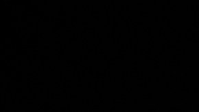 temperatura motor aguja