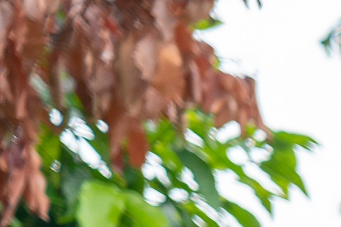 trocas baratas en phoenix arizona​