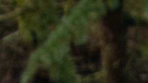 trocas de venta en dallas texas​