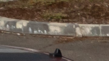 trocas en venta en texas de particulares​