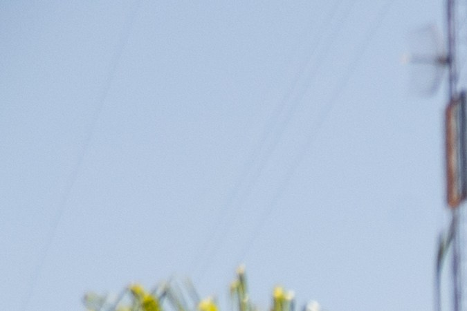 trocas en venta en texas de dueño a dueño