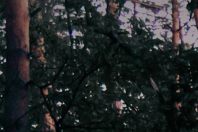 50 años del Volkswagen Polo: el compacto que sigue liderando ventas