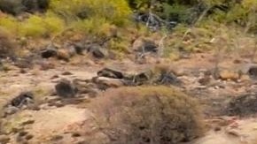 yonkers de carros en pennsylvania