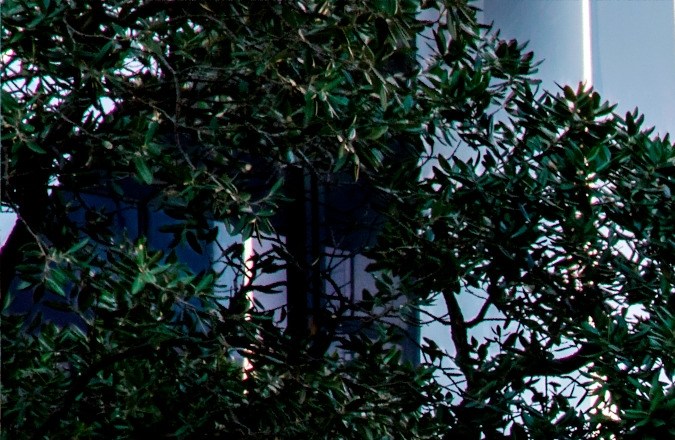 5 marcas involucradas en retiro masivo por problemas de seguridad