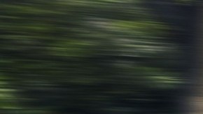 Honda Accord y Accord Hybrid 2025, premiados como los mejores para familias